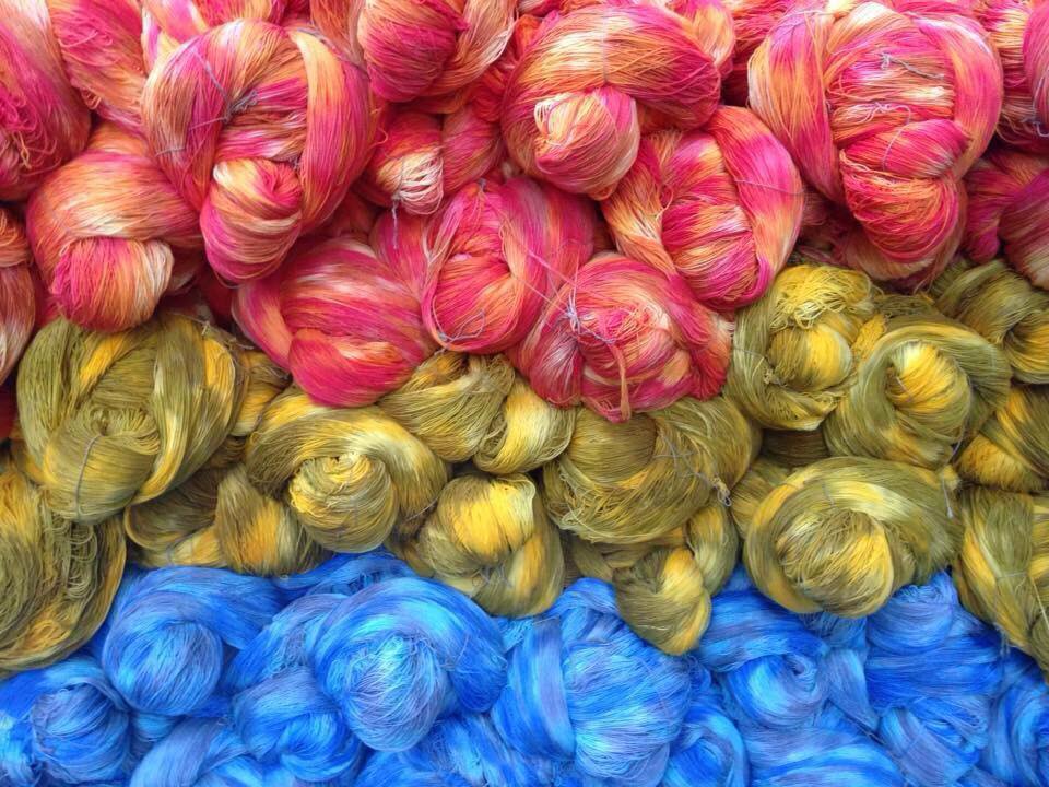 13062092 920455824733609 8356311738313731328 n