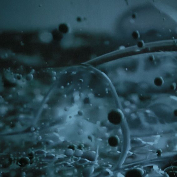 move beyond quadrata