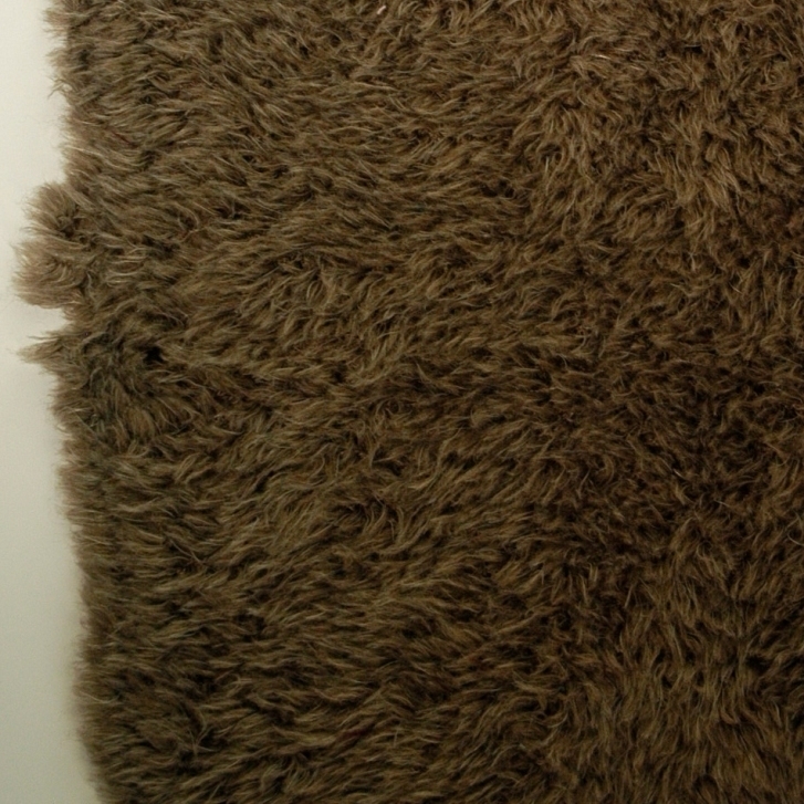 Papi Fabio Papi Fabio