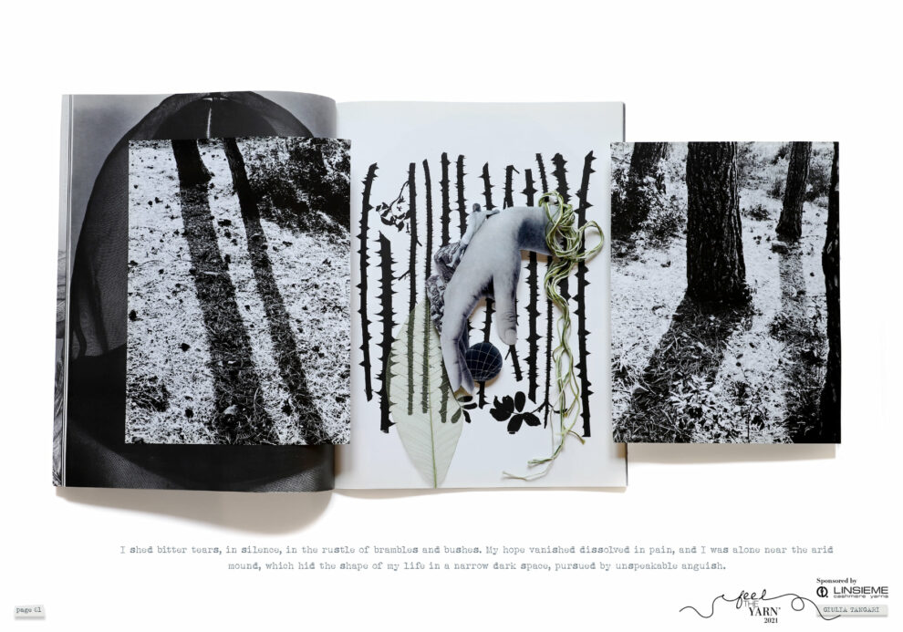 153271826 4212835632083878 726775699498364512 o