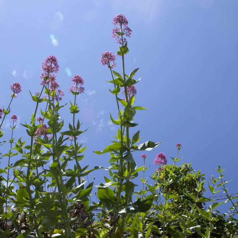 3b078942 3876 ab38 d16c f613774005fd