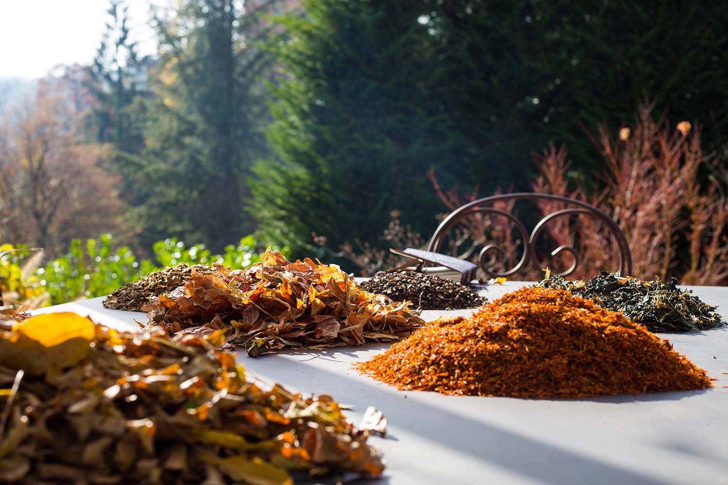 Tintoria Quaregna Tintoria Quaregna