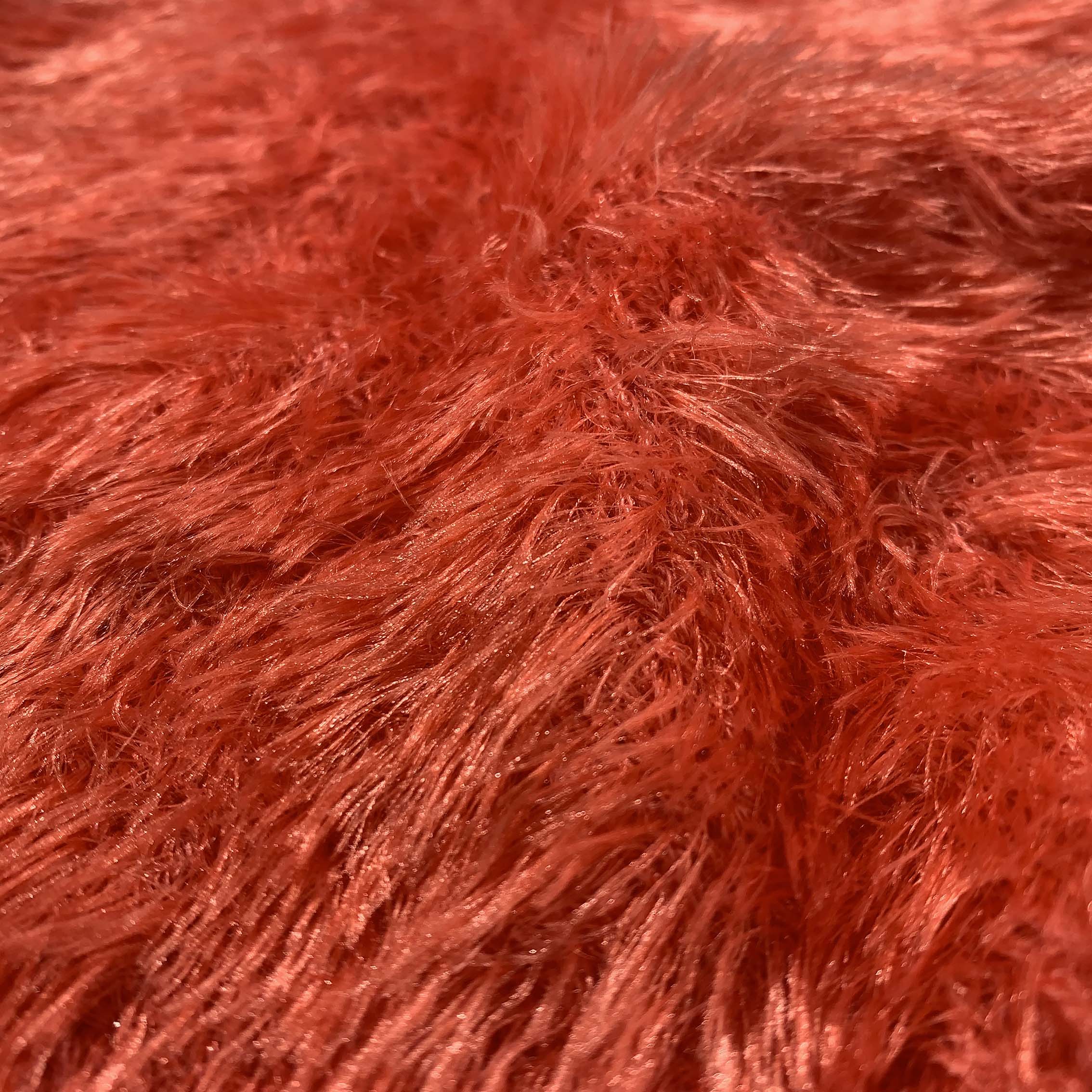 IgeaLab- Mantova_ IgeaLab Mantova