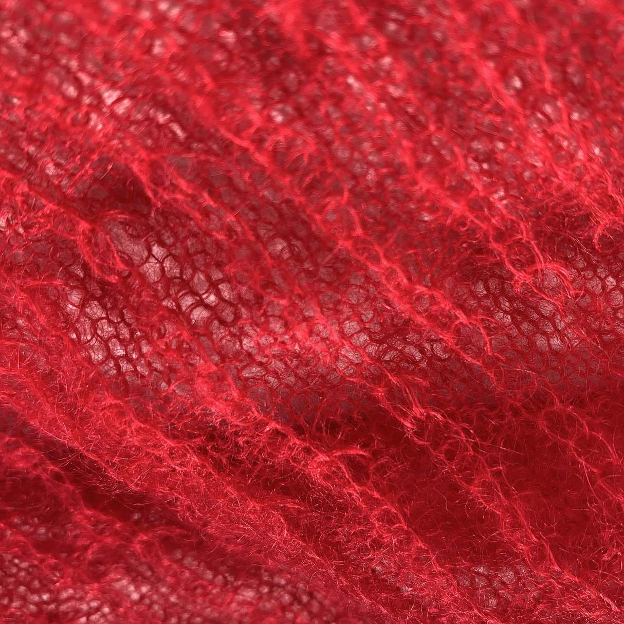 OLIVO-Celebration75_ OLIVO Celebration75