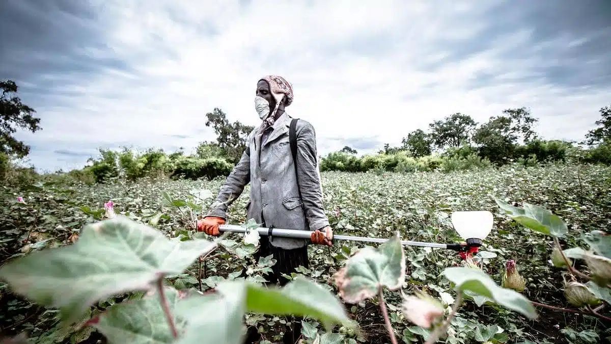 Impatto ambientale_ Impatto ambientale