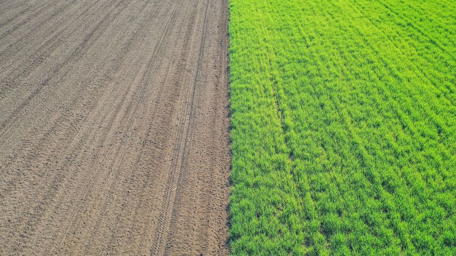 4sustainability_Salute-suolo_ 4sustainability Salute suolo