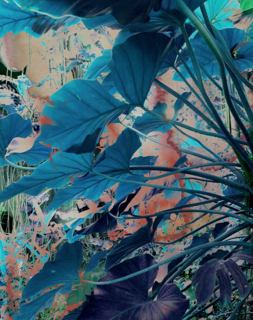 visionary landscape 2