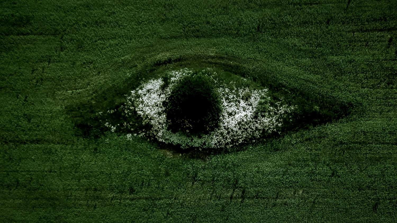 4sustainability Reporting di Sostenibilita