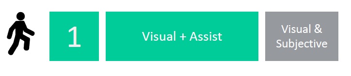 Color Maturity Level 1 VISUAL ASSIST IMAGE 3